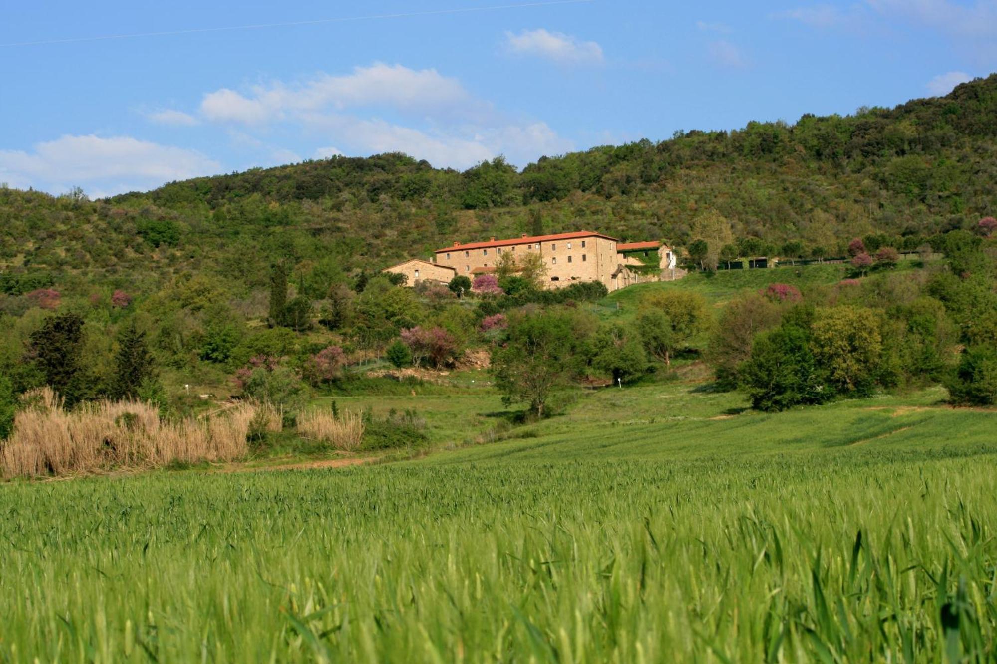 Agriturismo San Ottaviano Monterotondo  Bagian luar foto