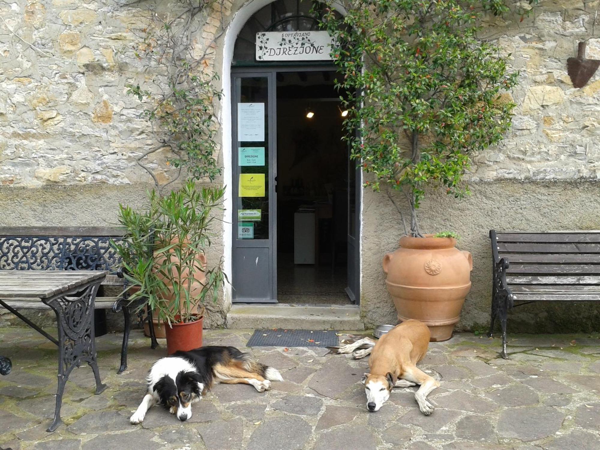 Agriturismo San Ottaviano Monterotondo  Bagian luar foto